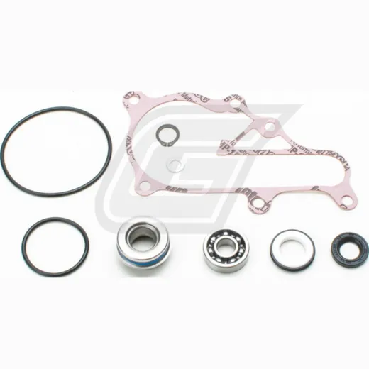 water pump rebuild kit for YFM700R Raptor '06-17