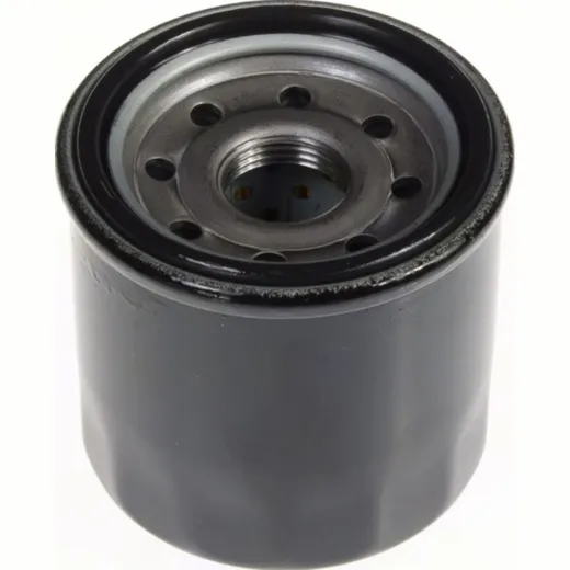 Motorölfilter Ölfilter (Vergl. Nr. 180107101000 / HF553)