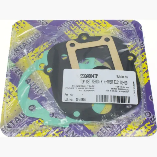 top gaskets set 556A004TP