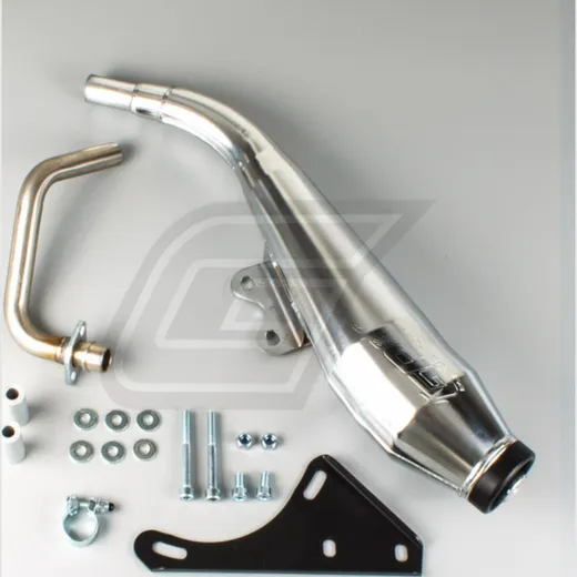 Auspuff GP4 für: Piaggio 4T 2V