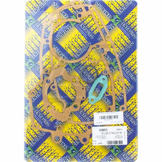Full gaskets set 622A007FL