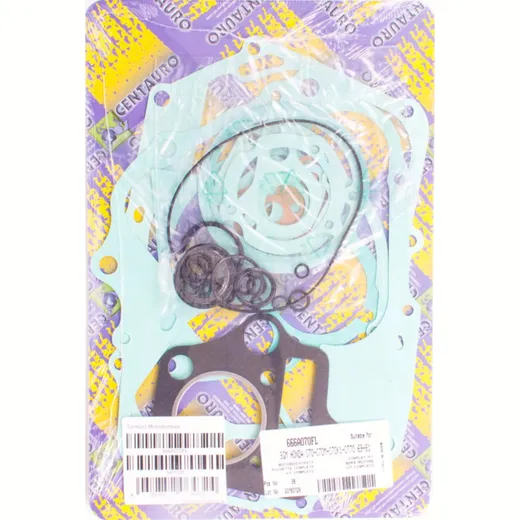 motor gasket set 666A070FL