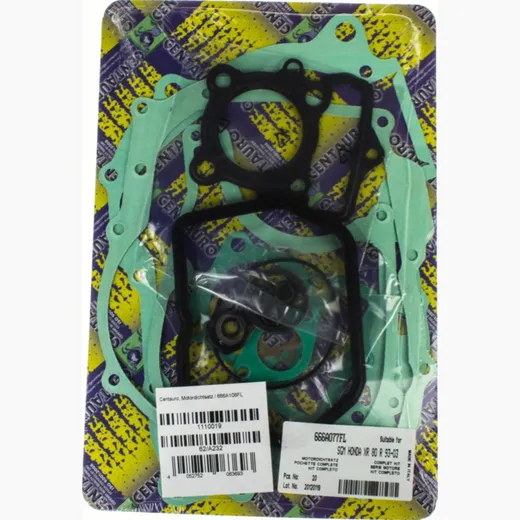 motor gasket set / 666A077FL