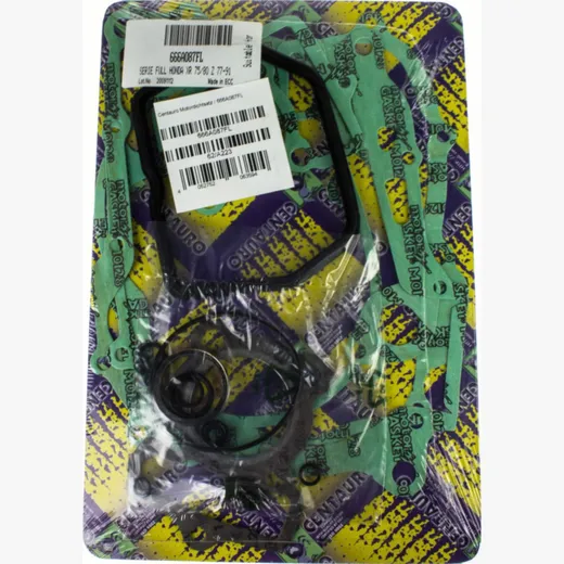 motor gasket set / 666A087FL