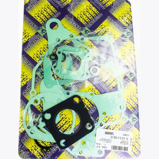 motor gasket set 666A089FL