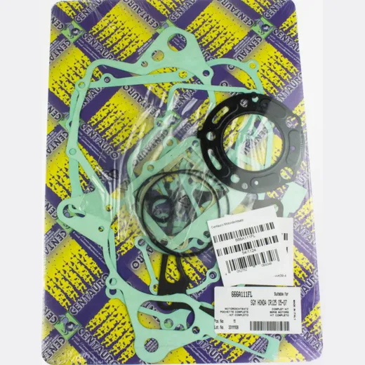 motor gasket set 666A111FL