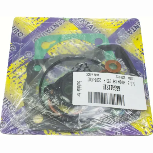 cylinder gasket set 666A112TP