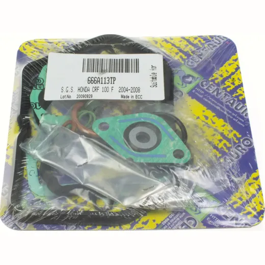 cylinder gasket set 666A113TP
