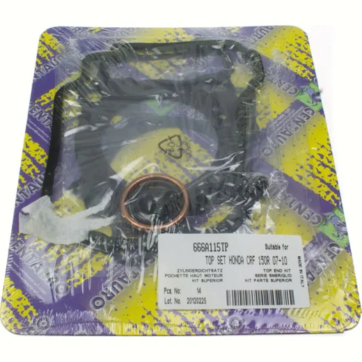 cylinder gasket set 666A115TP