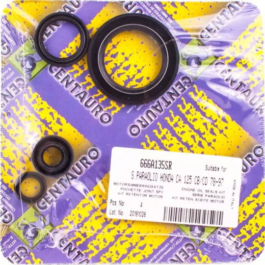 oil seals set 666A135SR