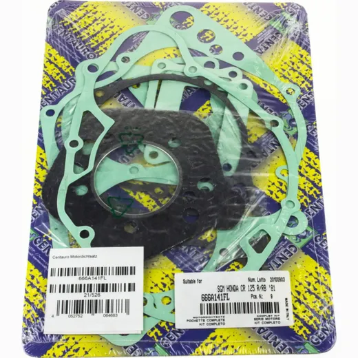 motor gasket set 666A141FL