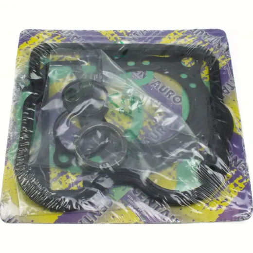 cylinder gasket set / 666A146TP