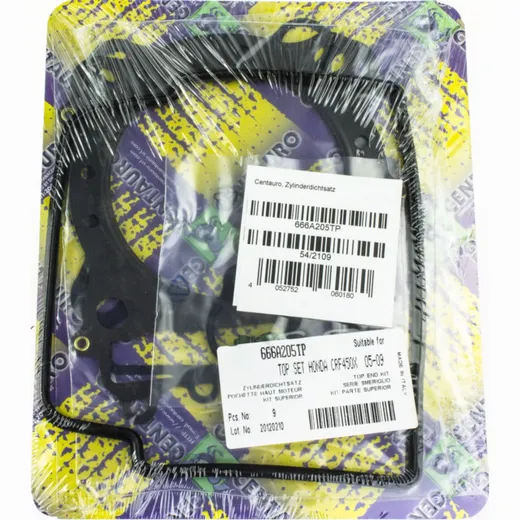 Top gaskets set 666A205TP