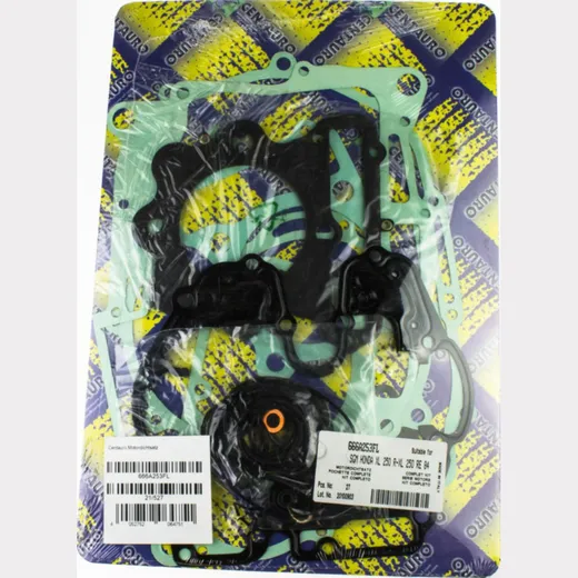 motor gasket set 666A253FL