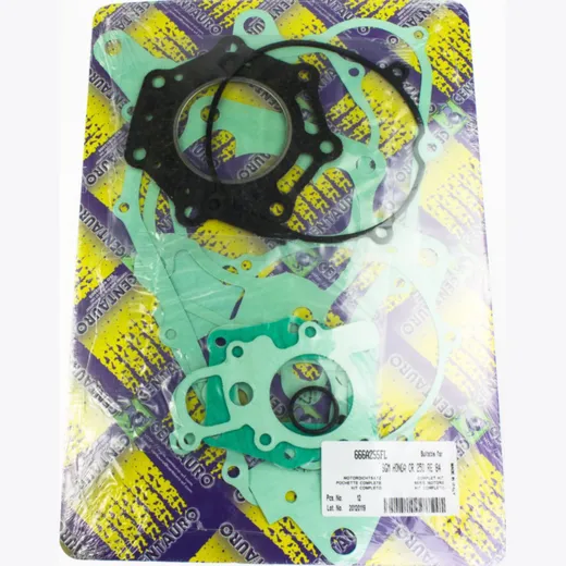 motor gasket set 666A255FL