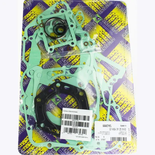 motor gasket set 666A274FL