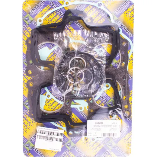 Full gaskets set 666A504FL