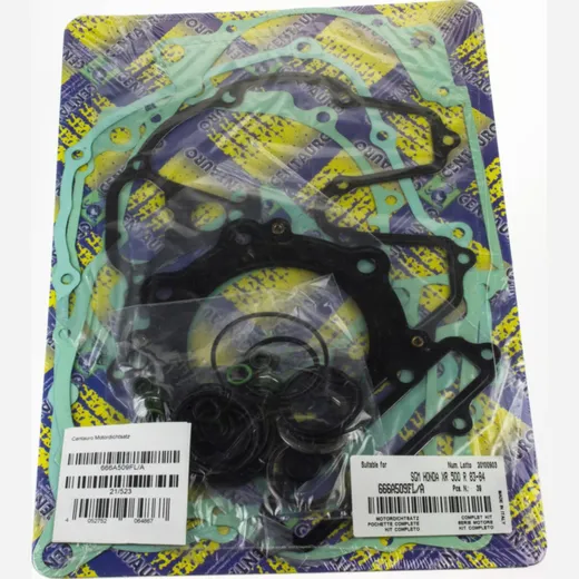 motor gasket set 666A509FL-A