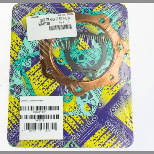 Top gaskets set 666A513TP
