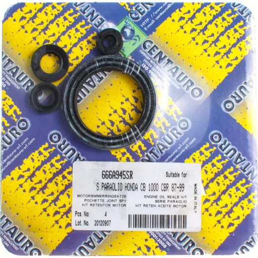 oil seals set 666A945SR