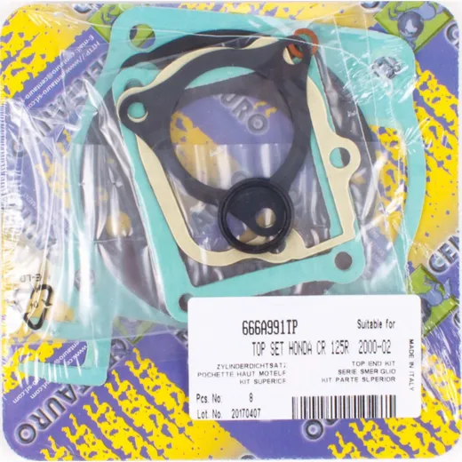 cylinder gasket set 666A991TP