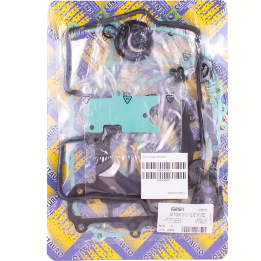 Full gaskets set 666A996FL