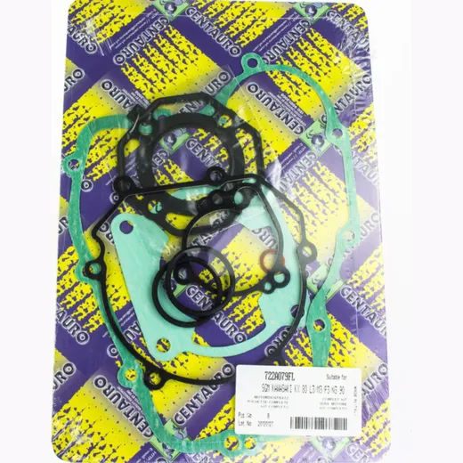 motor gasket set 722A079FL