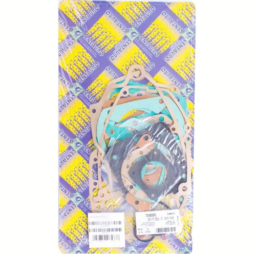 motor gasket set 722A266FL