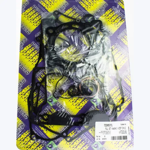 motor gasket set 722A957FL