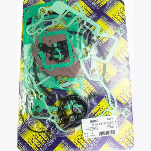 motor gasket set 731A005FL