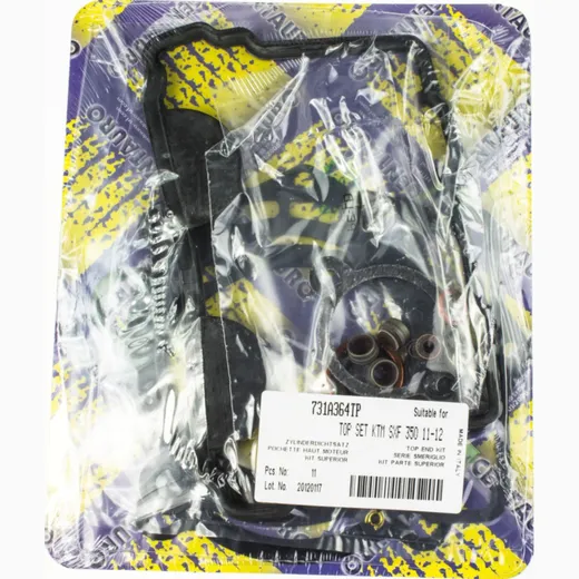 Top gaskets set 731A364TP