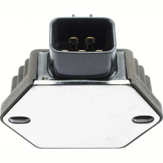 Regulator 7695146