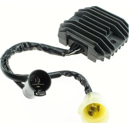 Regulator 7695419