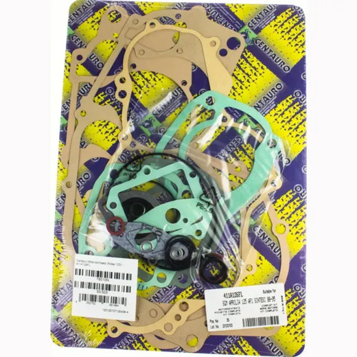motor gasket set (Rotax 123) / 411A126FL