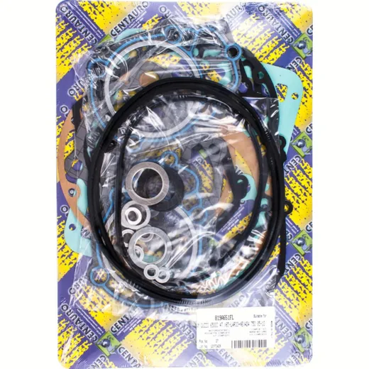 Full gaskets set 819A651FL