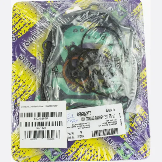 cylinder gasket set / 666A256TP 880A029TP