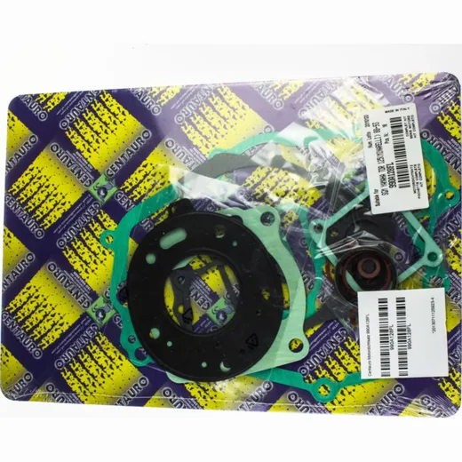 Full gaskets set 990A128FL