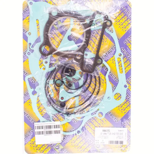 Full gaskets set 990A137FL