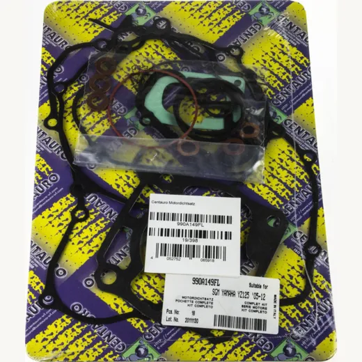 motor gasket set 990A149FL