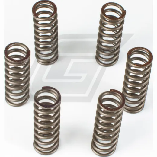 Premium clutch spring kit CSK037