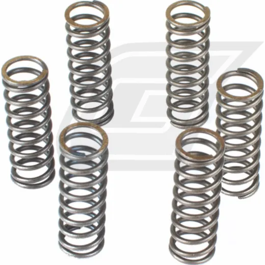Premium Kupplungsfedern-Kit CSK043
