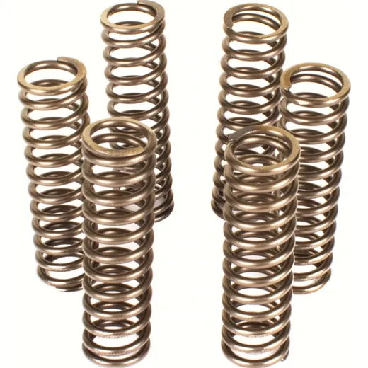 Kupplungsfedernsatz Premium Kupplungsfedern-Kit CSK067