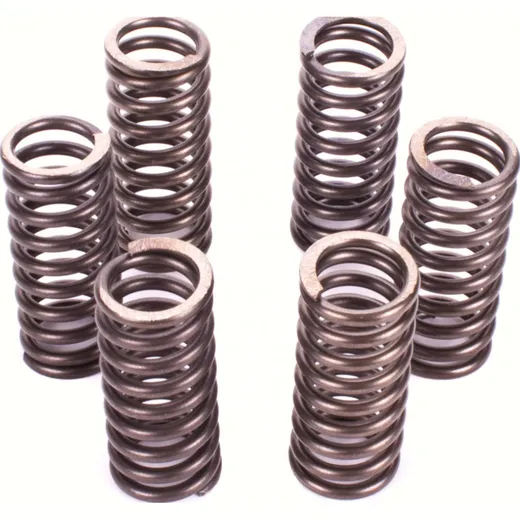 Kupplungsfedernsatz Premium Kupplungsfedern-Kit CSK081