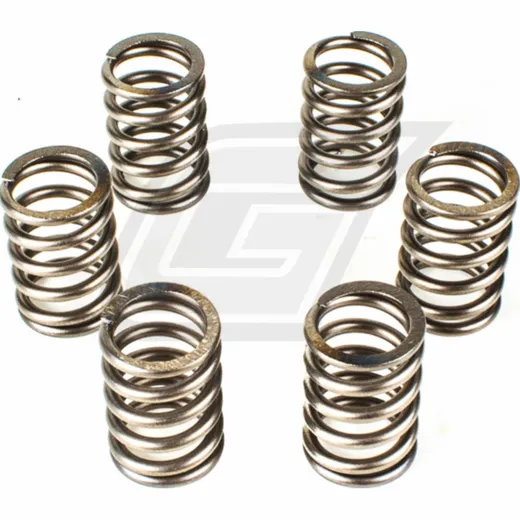 Premium clutch spring kit CSK114