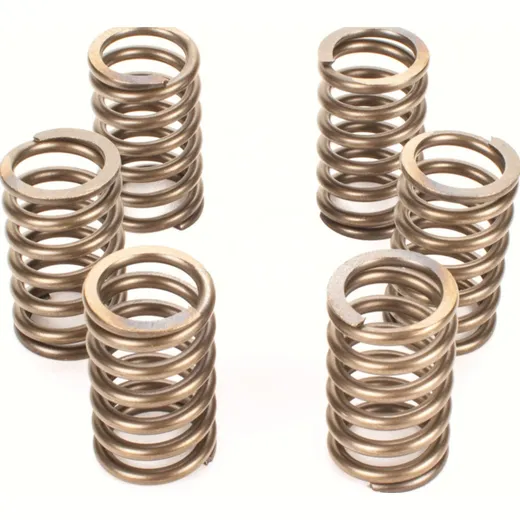 Premium clutch spring kit for: KTM CSK129
