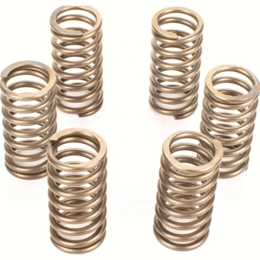 Premium clutch spring kit CSK136