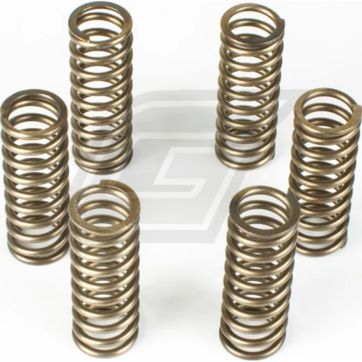 Premium Kupplungsfedern-Kit CSK145