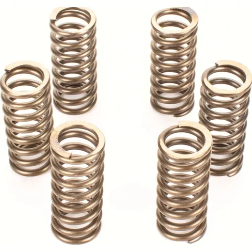 Premium clutch spring kit for: KTM CSK210