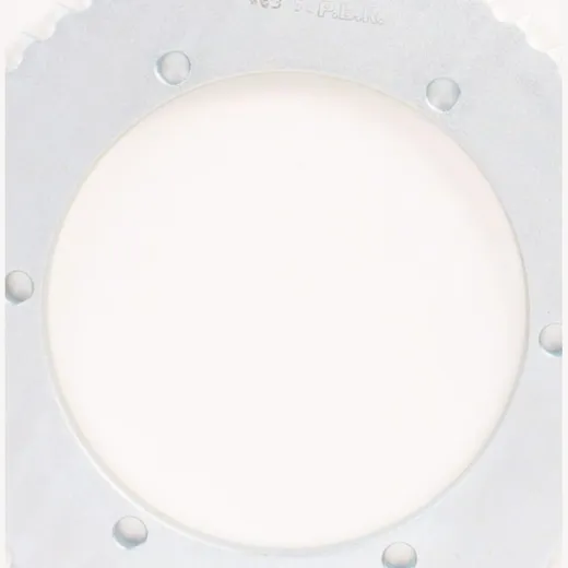 PBR Rear sprocket 53T - 428