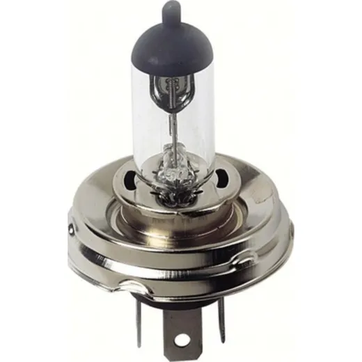 12V Halogen lamp - H5 - 60/55W - P45t - 1 pcs - Box